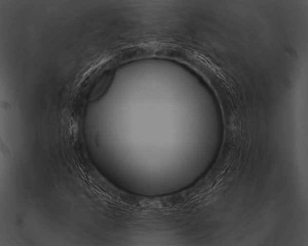 X0000090481302200708031116