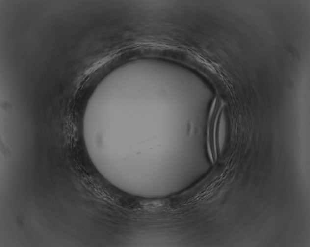 X0000090481303200708031116