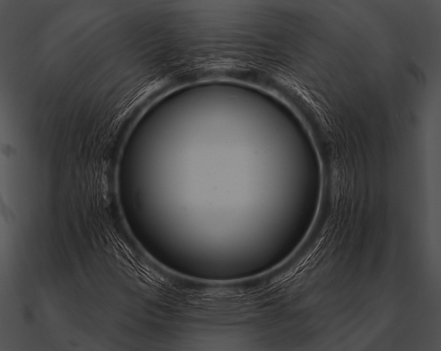 X0000090481305200708031116