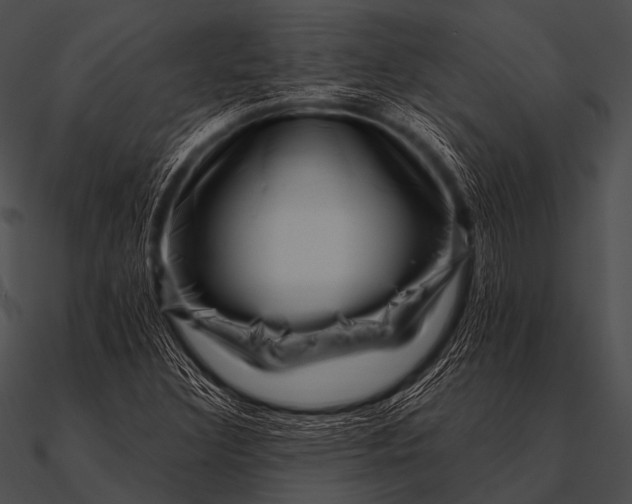 X0000090481308200708031116
