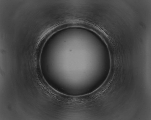 X0000090481311200708031116