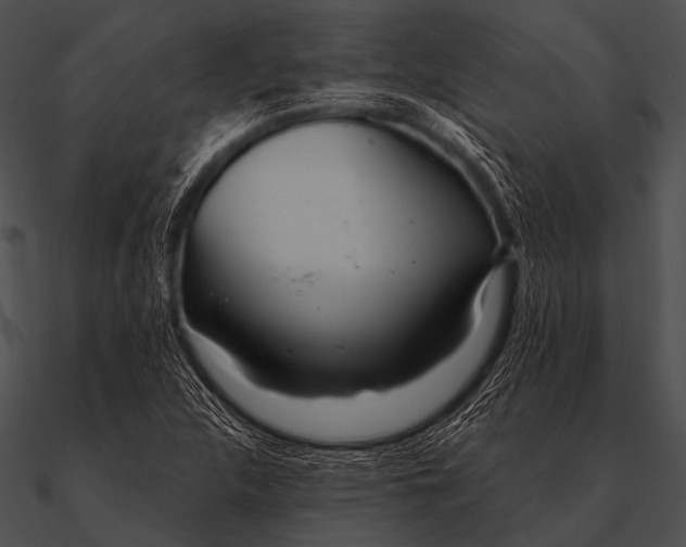 X0000090481312200708031116