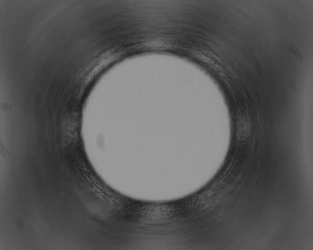 X0000090481314200708031116