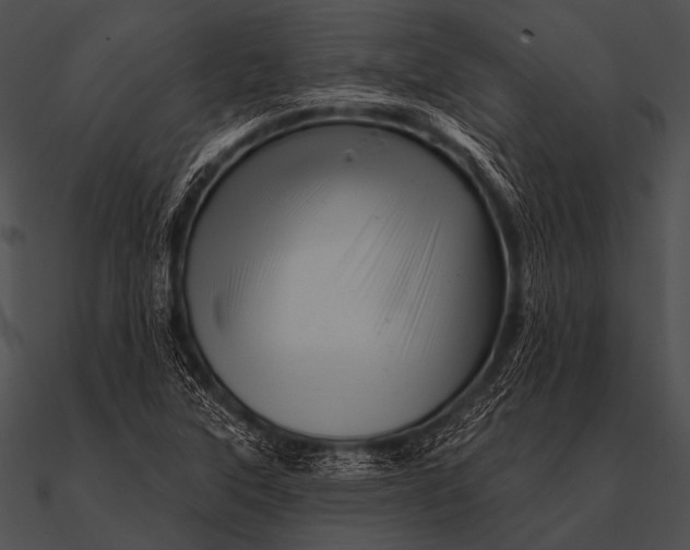 X0000090481315200708031116