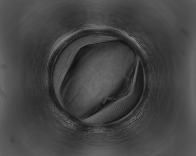 X0000090481319200708031116