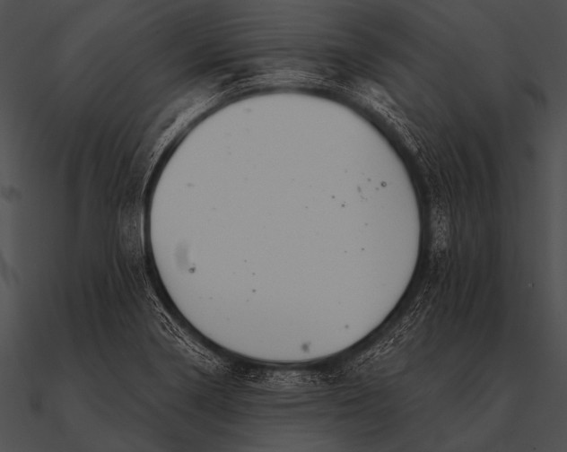 X0000090481322200708031116