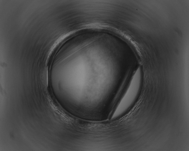 X0000090481323200708031116