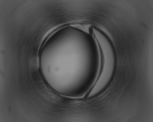 X0000090481324200708031116