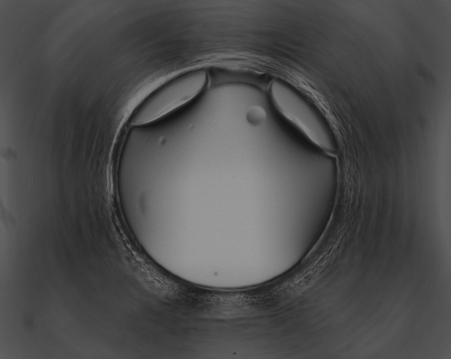 X0000090481328200708031116