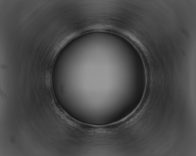 X0000090481329200708031116