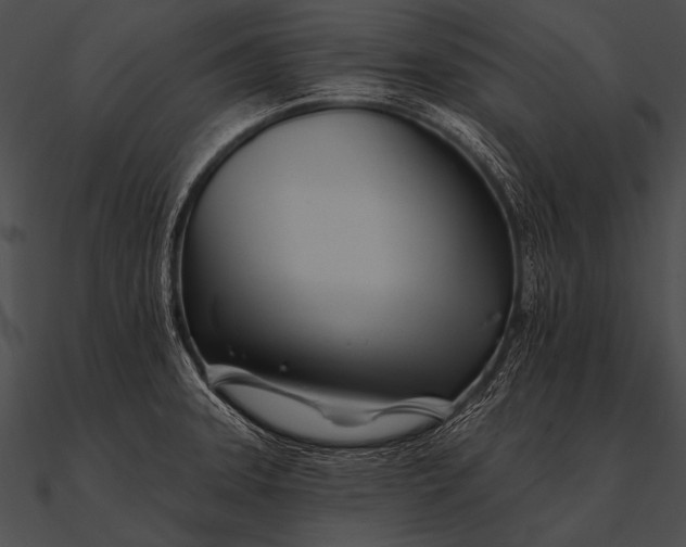 X0000090481331200708031116