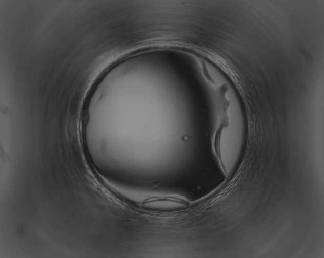 X0000090481334200708031116