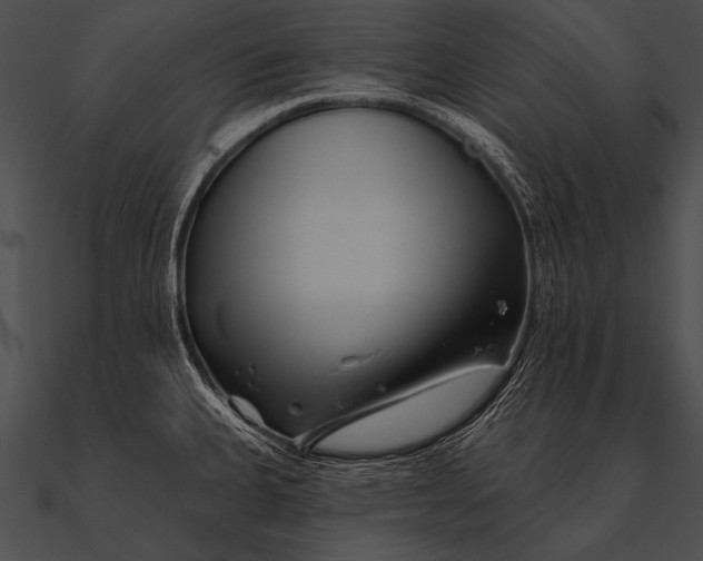 X0000090481335200708031116