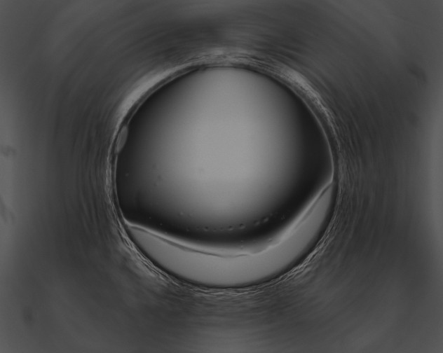 X0000090481336200708031116
