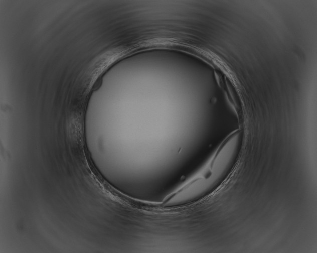 X0000090481337200708031116