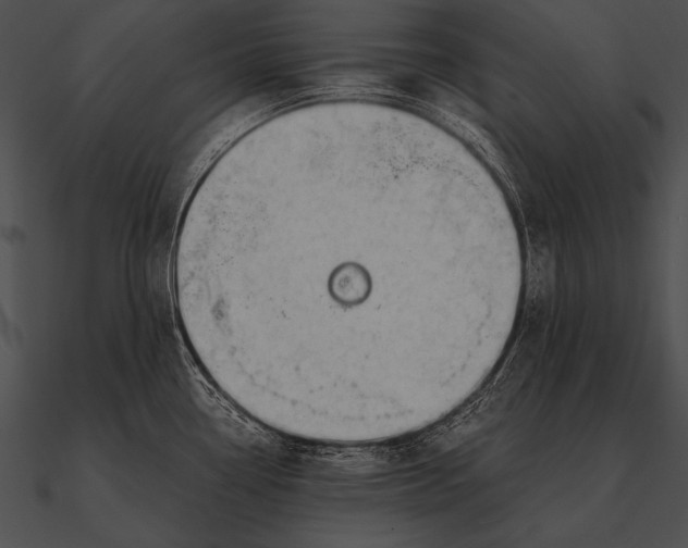 X0000090481338200708031116