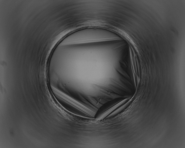 X0000090481339200708031116