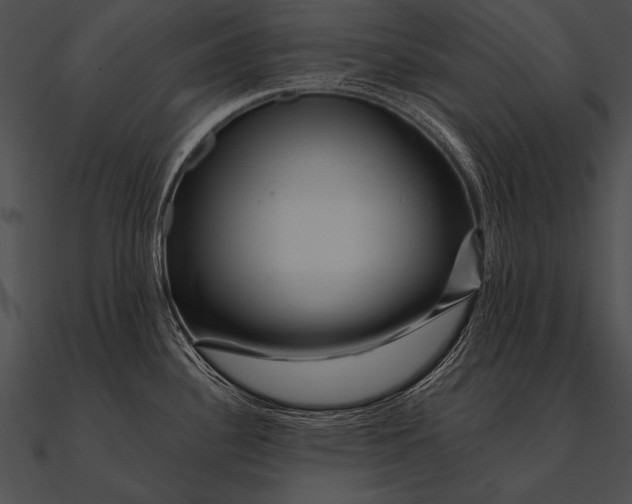 X0000090481340200708031116