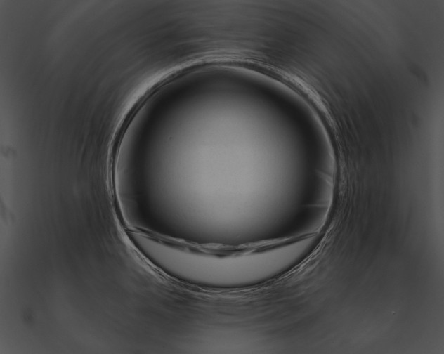 X0000090481342200708031116