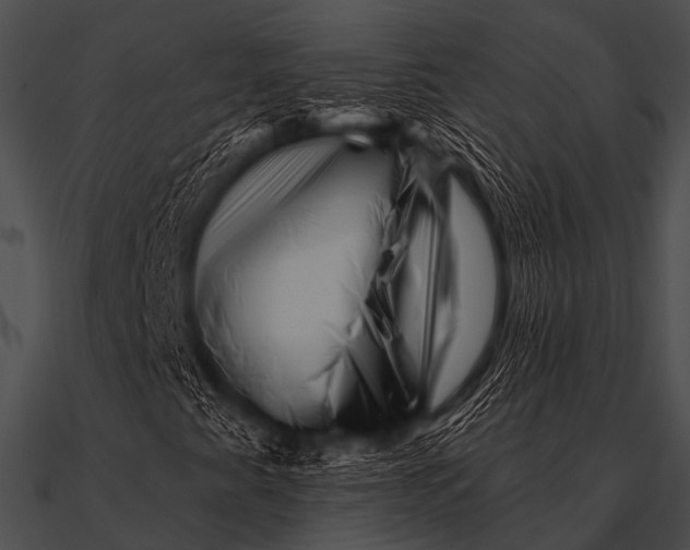 X0000090481345200708031116