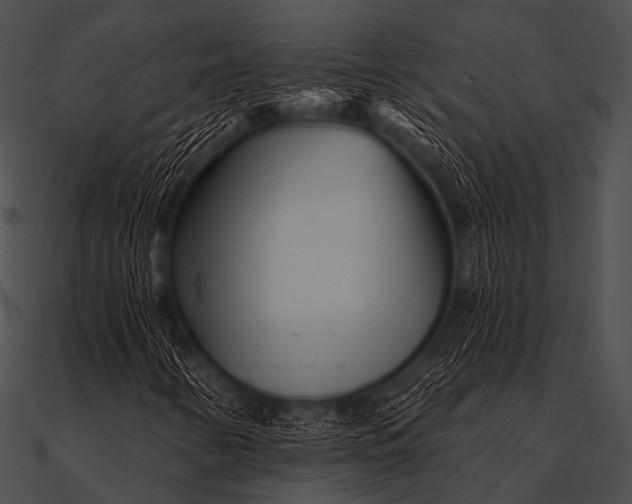 X0000090481346200708031116