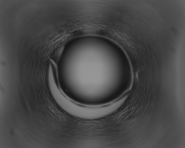 X0000090481348200708031116