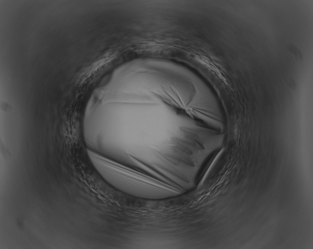 X0000090481350200708031116