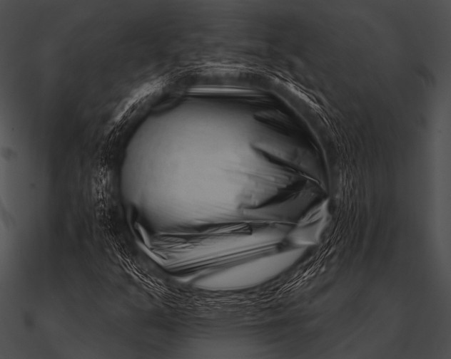 X0000090481351200708031116