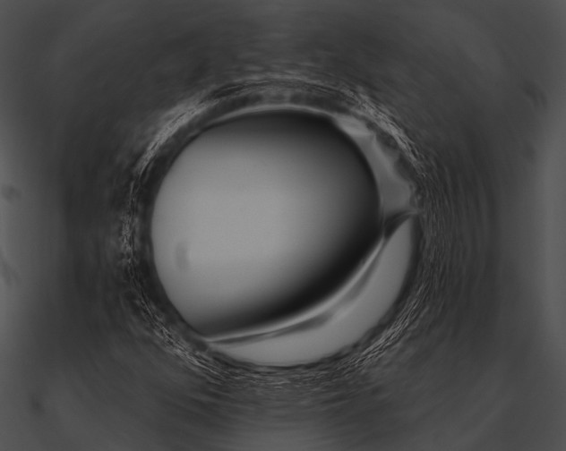 X0000090481352200708031116