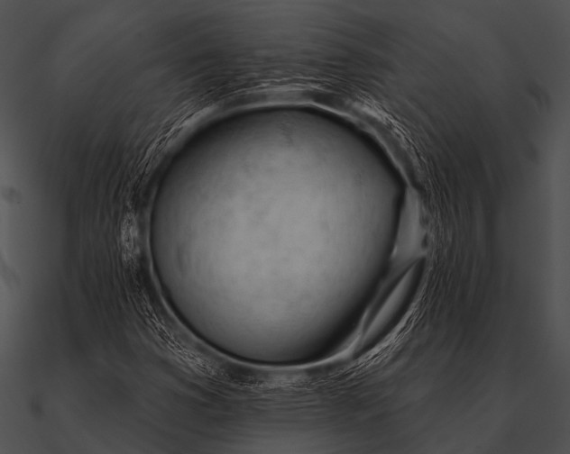 X0000090481353200708031116
