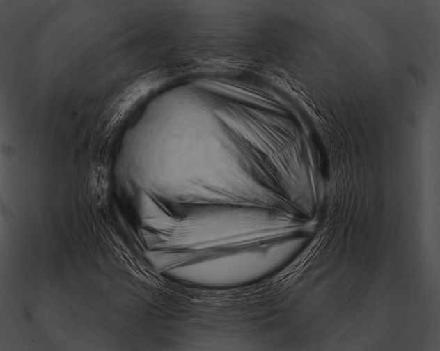X0000090481355200708031116