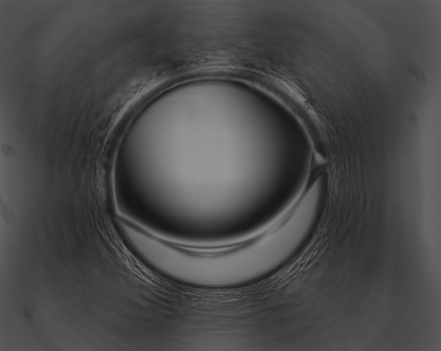 X0000090481356200708031116