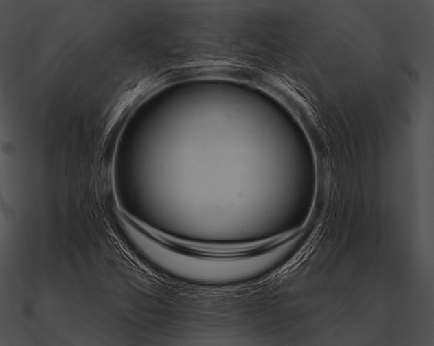 X0000090481357200708031116