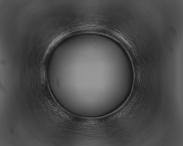 X0000090481358200708031116