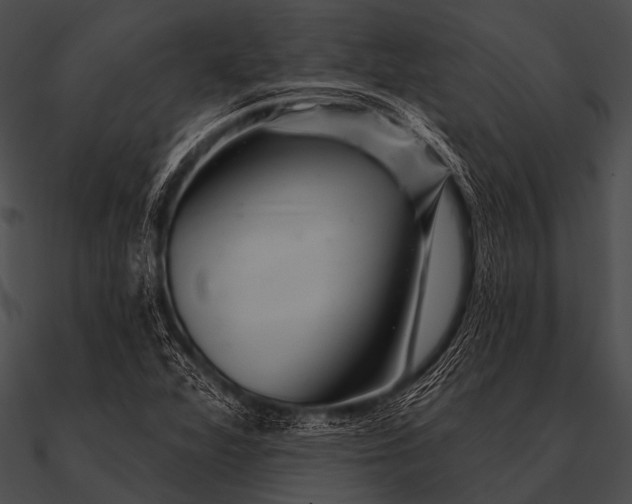 X0000090481360200708031116