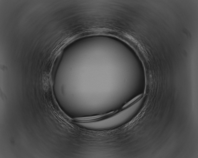 X0000090481361200708031116