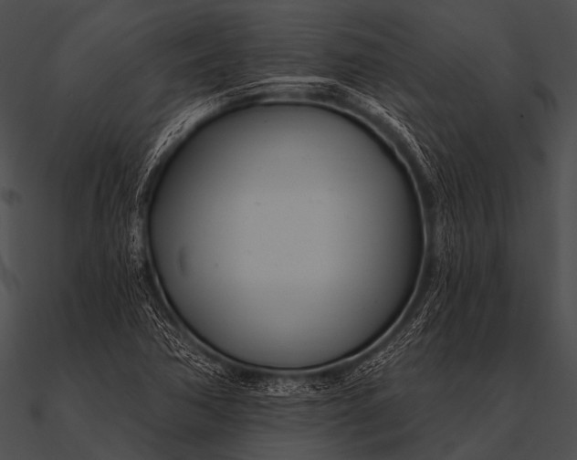 X0000090481362200708031116