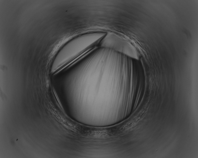 X0000090481363200708031116