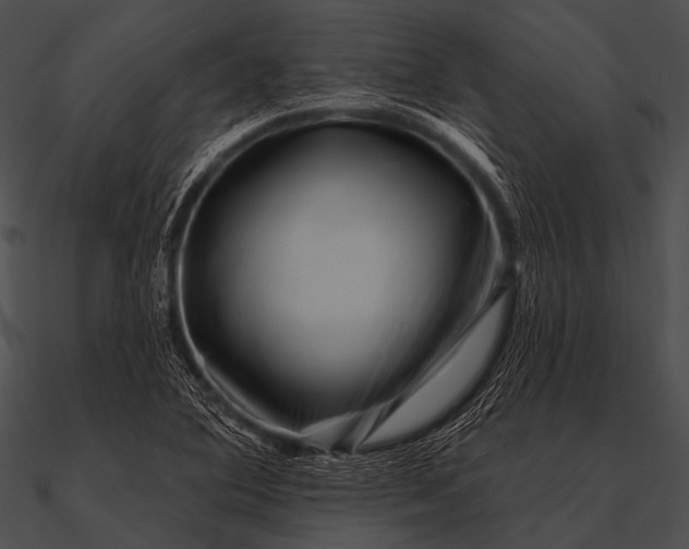 X0000090481364200708031116