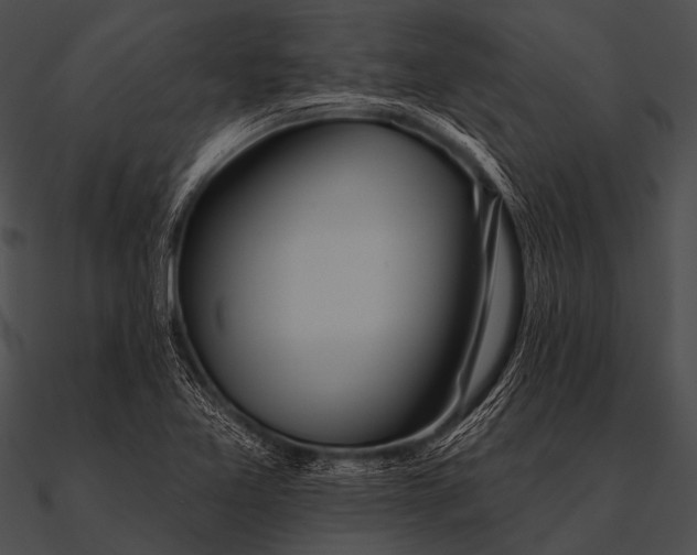 X0000090481365200708031116