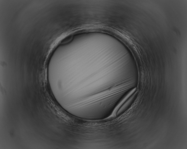 X0000090481366200708031116