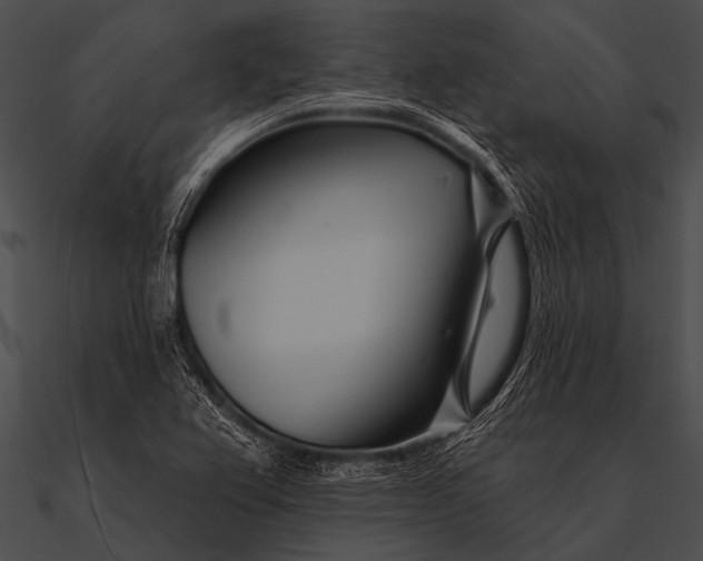 X0000090481367200708031116