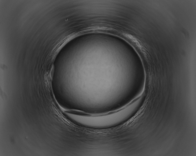 X0000090481369200708031115