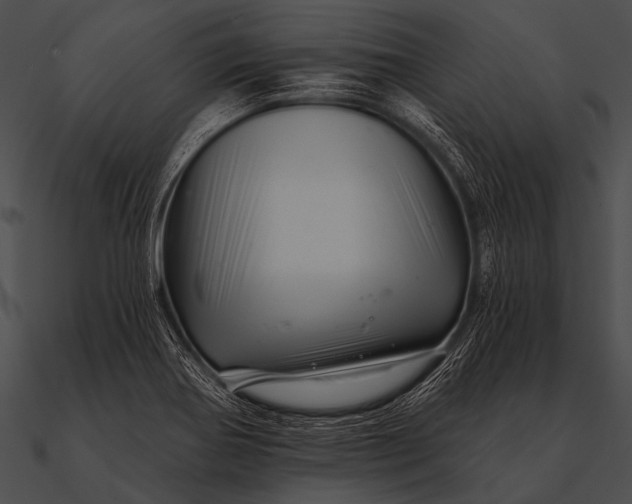 X0000090481370200708031115