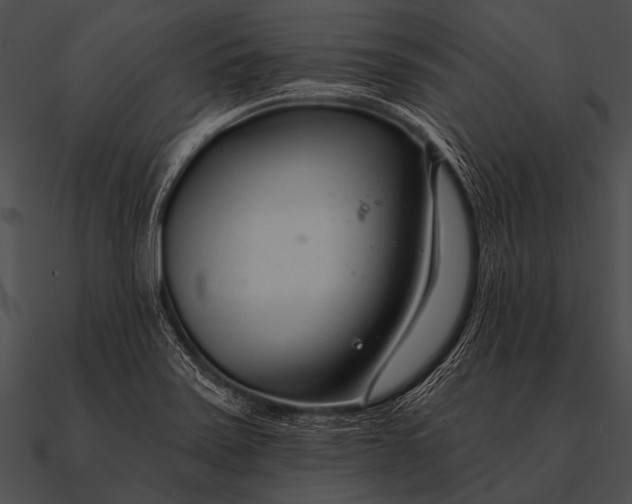 X0000090481371200708031115