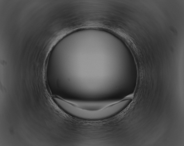 X0000090481374200708031115
