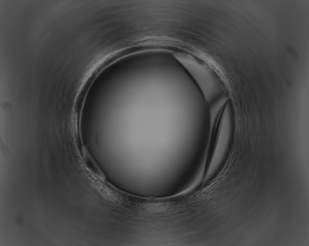 X0000090481376200708031115