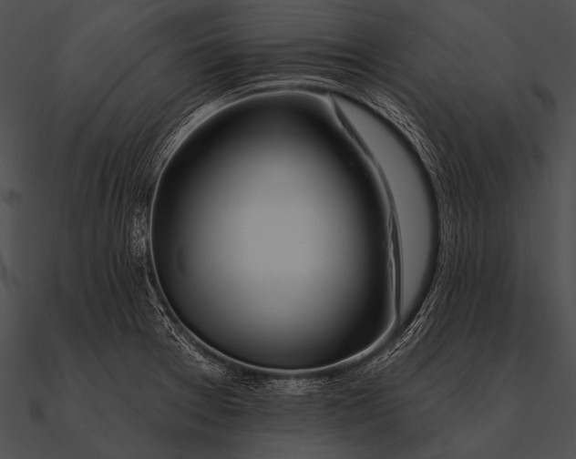 X0000090481377200708031115