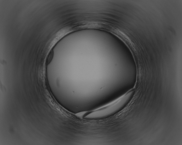 X0000090481378200708031115