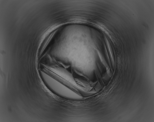 X0000090481379200708031115